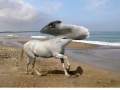 Animal hybrids