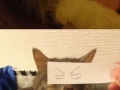 Cartoon eyes on cats