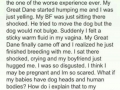 Dafuq did I just read?