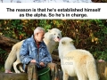 A man living among wolves