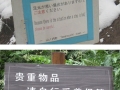 Worst translations ever