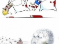 In a parallel universe