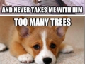 It's a dog's life