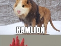 Just some exotic animals