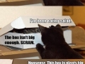 Like a glove!