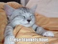 Every school and work day