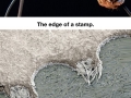 Microscopic photos