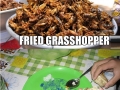 Unusual foods