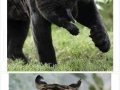 Mothers with their babies
