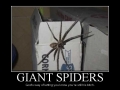 Giant Spiders