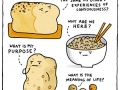 Complex carbs