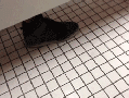 Toilet prank