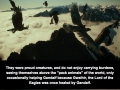 LOTR Facts (Part 1)