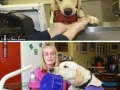 Respect the dogs