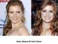 Similar looking celebs