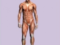 Scumbag Body