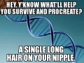 Scumbag evolution