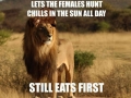 Scumbag Lion