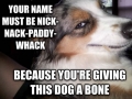Seductive Dog