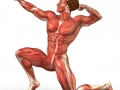 Scumbag Muscles