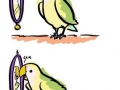 Self-loving parrot