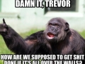Seriously, Trevor..