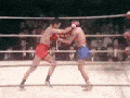 Flying knee knockout