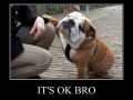 It's ok bro