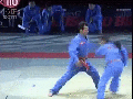 Vovinam takedown