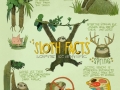 Sloth facts
