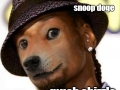 Snoop doge