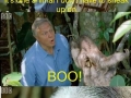 Sir David Attenborough
