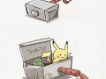 So that's how it works