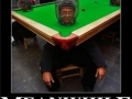Meanwhile in Japan