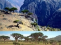 Socotra Island, Yemen