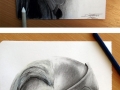 Epic drawings