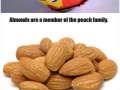 For all food lovers