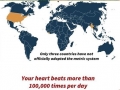 Interesting Facts