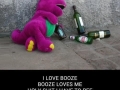 I love booze..
