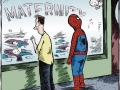 Spider Dad