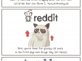 State of the internet