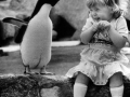 Penguin, u so funny!