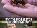 Strong point