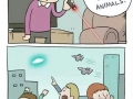 Stupid animals
