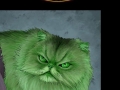 Super-Cats