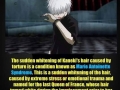 Kaneki's Hair