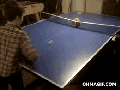 Kitty pong
