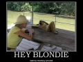 Hey Blondie