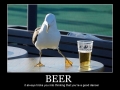 Beer..