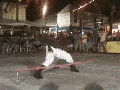 Limbo